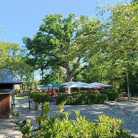 Hotel Schloesschen Sundische Wiese Zingst Eksteriør billede