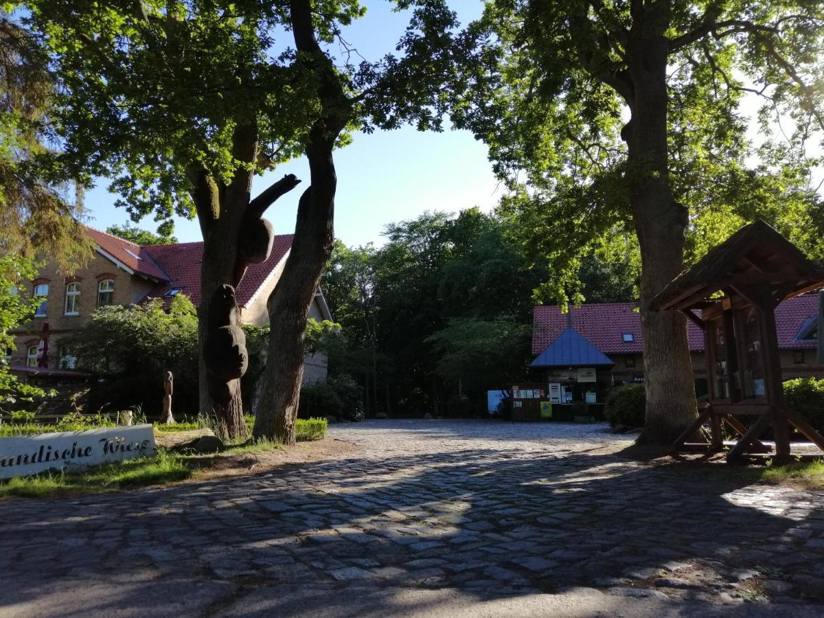 Hotel Schloesschen Sundische Wiese Zingst Eksteriør billede